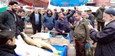 Dev Balıkları Görenler Telefonlarına Sarıldı