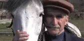 Binicilik Tutkusu Yaş Tanımıyor - Ordu