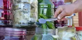 Bu Turşucular 'Ne Limon Ne Sirke' Diyor
