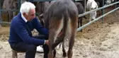 Eşeğin Sütünü de Sütünden Elde Ettiği Sabunları da Satıyor