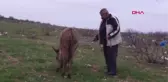Gaziantep Sıpaya İşkenceye Büyük Tepki