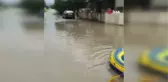 Göle Dönen Yolda Botla Gezdiler, Olta Attılar