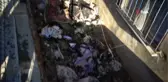 Sultanbeyli'de Yangın Paniği