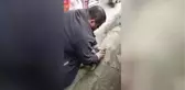 Köpeği Masaj ve Suni Solunumla Hayata Döndürdü
