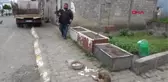 Rize Kalp Masajı ve Suni Teneffüsle Köpeği Hayata Döndüren Yılmaz Can Kurtarmanın Duygusu Anlatılmaz