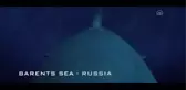 Sinema - Katil Avcısı