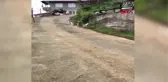 Rize Oğlak ile Köpeğin Kıskandıran Dostluğu