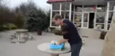 Kırım'da, Nadir Görülen 2 Beyaz Aslan Doğdu