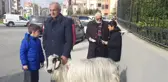 Oy Vermeye Keçisiyle Geldi