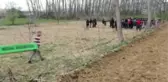 Devrilen Traktörün Altında Kalan Sürücü Öldü