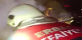 Amasya 2 Katlı Ahşap Evde Çıkan Yangında Yaşlı Çift Öldü