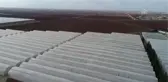 Yabancı Sera Yatırımcıları Rotayı Şanlıurfa'ya Çevirdi