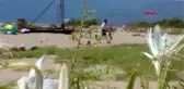 İzmir Kum Zambakları Azalıyor