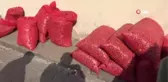 Tohumluk Soğan Fiyatları Yükseliyor