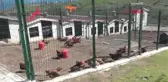 Samsun Okulda Salyangoz ve Sülük Besliyorlar