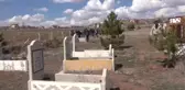 Yardım Paralarıyla Köy Mezarlığı Ağaçlandırılıyor