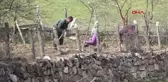 Karabük Kavgadan Dolayı Kaydı Bulunduğu İçin Mazbatasını Alamadı
