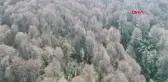Kocaeli Kartepe'de İki Mevsim Bir Arada Yaşanıyor