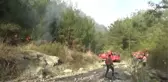 Orman Yangını