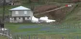 Mor Yayla'nın Mavi Yıldız Çiçekleri Kendini Göstermeye Başladı