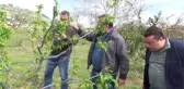 Erdemli'de Doludan 2,5 Milyon Zarar Belirlendi