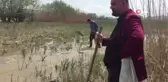 Baraj Çekildi Binlerce Balık Kıyıya Vurdu