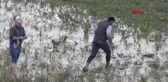 Bursa Balıklar Kıyıya Vurdu, Duyan Geldi