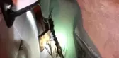 Uyuşturucu Operasyonları