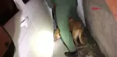 Van'da 47 Kilo 900 Gram Eroin Ele Geçirildi