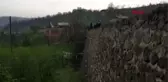 Ordu Minibüs Fındık Bahçesine Yuvarlandı 7 Yaralı