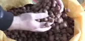 Fındıkta Lisanslı Depoculuk Önem Arz Ediyor