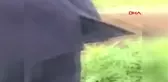 Şanlıurfa Kanal Düşen At Halatla Çıkarıldı