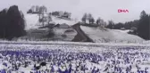 Trabzon Mor Yayla, Yağan Karla Beyaza Büründü