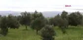 Hatay'da Yağış, Sel ve Su Baskınlarına Yol Açtı