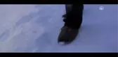 Sinema - Destroyer