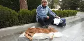 Komşusunun Zehirlediğini Öne Sürdüğü Buzağısına Otopsi Yapılmasını İstedi