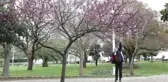 İstanbul'un Görsel Şöleni 