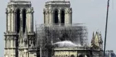 Notre-Dame'daki Arılar Yangından Sağ Kurtuldu