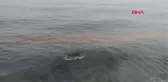 Tekirdağ'da Deniz Turuncuya Büründü
