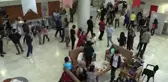 Akıl ve Zeka Oyunları Türkiye Şampiyonası