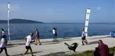 Global Run Bodrum