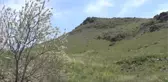 Sakarya Şehitleri Yürüyüşle Anıldı