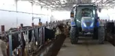 1 Milyon 216 Bin TL Hibe Desteği Alarak Damızlık Çiftliği Kurdu
