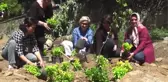 Birgi, Bahar Şenliğine Hazırlanıyor