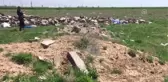 Mantar Toplayan Kişi Arazide Ölü Bulundu
