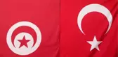 Türkçe Makale Yarışmasında Kazanan Tunuslu Öğrenciler Ödüllendirildi