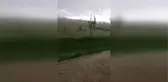 Niğde'de Dolu Meyve Ağaçlarında Hasara Neden Oldu (2)