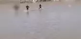 Nehre Düşen Çocuk Hayatını Kaybetti