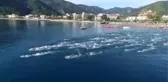 Uluslararası Arena Aquamasters Yüzme Şampiyonası