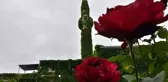 Yeşil Cami